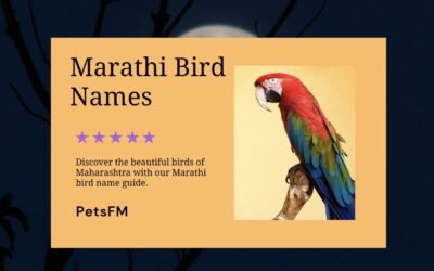 100+ Bird Names In Marathi With Translation in English